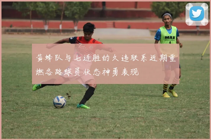 黄蜂队与七连胜的久违联系近期重燃各路球员状态神勇表现